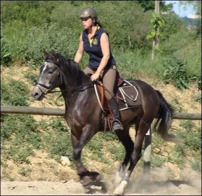 Qui est le cavalier prioritaire dans une carrière ?