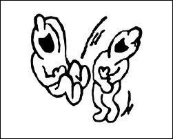 L'illustration doit tre relie  ?