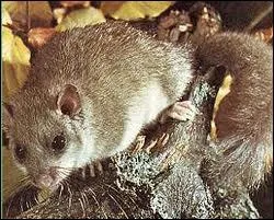 Qu'est-ce qui fait ma renomme ?