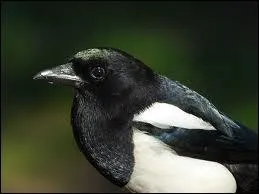 Que tire-t-on de moi ?