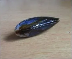 A quoi puis-je tre utile ?