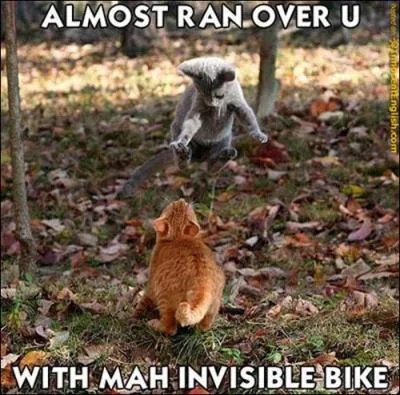 Sur cette photo, vous voyez ...