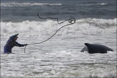 Qu'essaie d'attraper cet homme ?