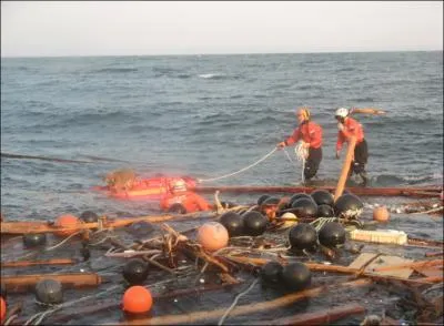 Quel animal tentent de sauver ces hommes ?