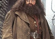 Quiz La biographie complte de Hagrid (Harry Potter)