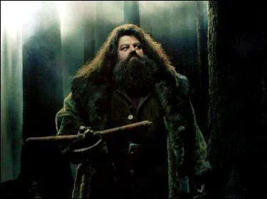 Lors de la deuxime anne de Harry, Hagrid passe quelques mois  Azkaban
