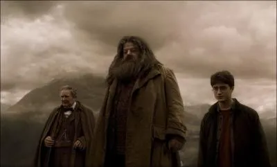 Que cache Hagrid dans la Fort Interdite pendant la cinquime anne de Harry  Poudlard ?