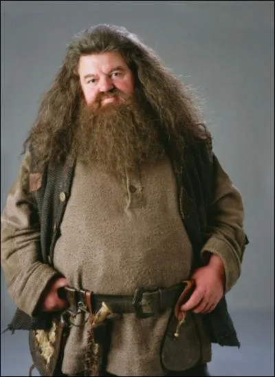 Quelques anecdotes pour finir. Selon J. K Rowling, quelle taille font les mains de Hagrid ?