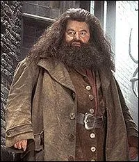 Rubéus Hagrid est né le 6 Décembre 1928, il est un demi-géant car...