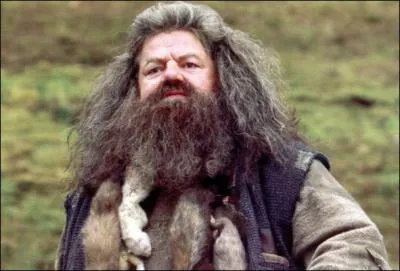 Dans quelle maison Hagrid fut-il lve  Poudlard ?