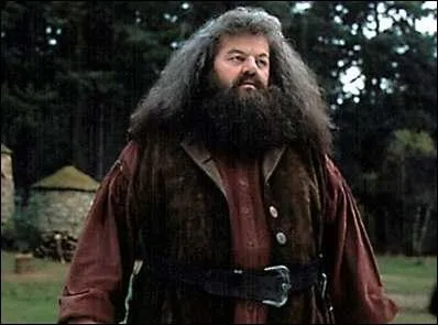 Pourquoi Hagrid fut-il renvoy de Poudlard pendant qu'il y tait scolaris ?
