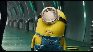 Les compagnons jaunes s'appellent les ...