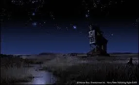 Quelle invite est prsente au Terrier ?