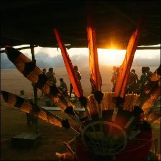 On trouve le jaguar en Amazonie !