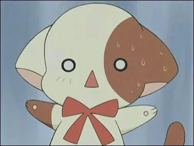 Comment s'appelle son chat ?