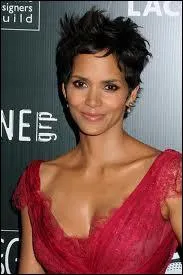 Dans quels films Halle Berry a-t-elle jou ?