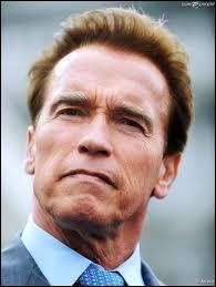 Dans quels films Arnold Schwarzenegger a-t-il jou ?