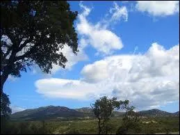 Vent d'ouest qui souffle sur l'Afrique :