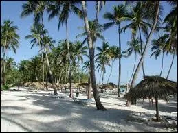 Vent engendr par les diffrences de temprature entre la terre et la mer, vent local qui souffle sur les zones ctires et dont le nom rime bien avec le quizz :