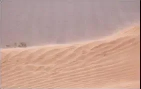 Vent de sud chaud et sec qui souffle en Afrique du Nord :