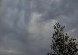 Vent de Nord-Est sur l'hmisphre Nord, et de Sud-Est sur l'hmisphre Sud :