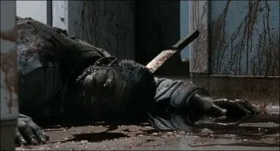 Combien de temps passa-t-il dans l'hpital psychiatrique ?