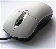 [ Informatique ] En quelle anne est ne la souris ?