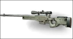 Quel est ce sniper ?