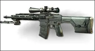 Quel est ce sniper ?