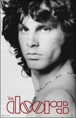 Jim Morrison et les Doors débutent ce film avec la chanson ''The End'' . (J'aurais pu mettre cette chanson à la fin du quiz mais elle est vraiment trop triste : je voulais finir sur une note plus gaie.)