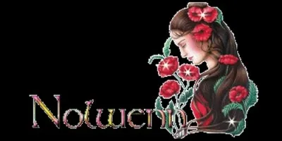 Quelle est l'origine du prénom Nolween, que l'on fête le 6 juillet ?