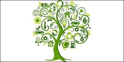 En politique, qui sont "Les Verts" ?