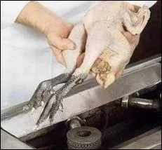 Nommez cette technique :