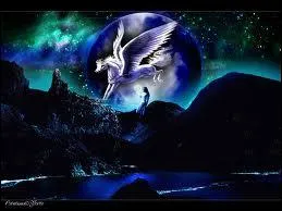 Combien y-a-t-il de robes ?