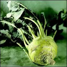Reconnaissez- vous ce lgume ?