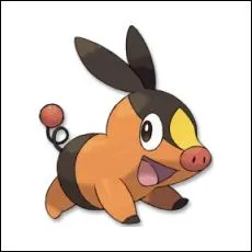 Quel est ce pokmon ?