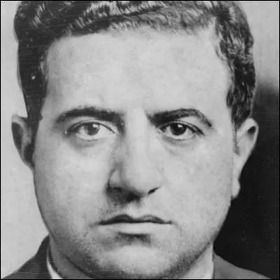 On lui attribue d'ailleurs entre 300 et 700 meurtres par le biais du Murder Incorporated. Il fut le parrain de la famille Mangano de 1951 jusqu' sa mort en 1957 :