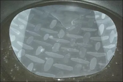 De quel ingrdient sont faites les galettes utilises dans les nems ?