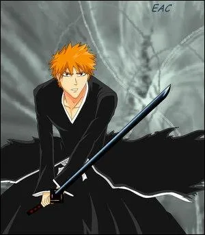 A qui appartient la technique du Bankai ?