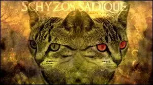 Clan du Ciel : qui est la gurisseuse du Clan du Ciel ?