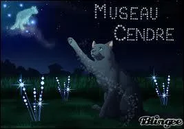 Comment Museau Cendr est-elle devenue infirme ?