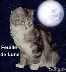 Quelle faute a commise Feuille de Lune ?