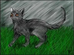 Est-ce que Rhume des Foins est mort tant gurisseur ?