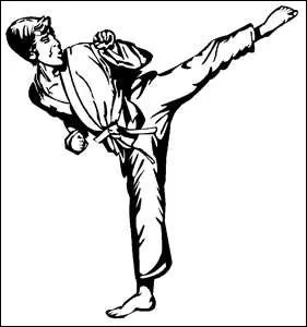 Le karat vient de quel pays ?