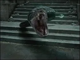 Combien d'Horcruxes ont t conus avant Nagini ?