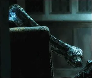 Quelles sont les caractristiques de son venin ?