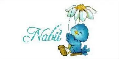 Quelle est la signification du prénom Nabil, d'origine arabe ?