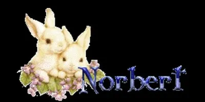 Que signifie Norbert, prénom d'origine germanique ?