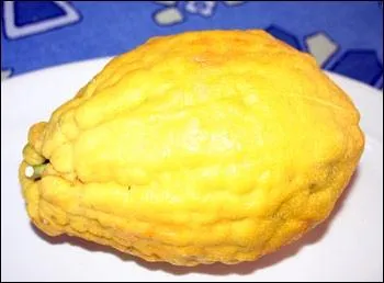 Je suis une sorte de citron exotique, mon autre nom est 'main de bouddha' que suis-je ?