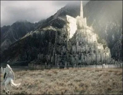 Qui Gandalf emmne-t-il avec lui  MinasTirith ?